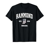 Hammond Indiana IN Vintage American Flag Sports Design T-Shirt