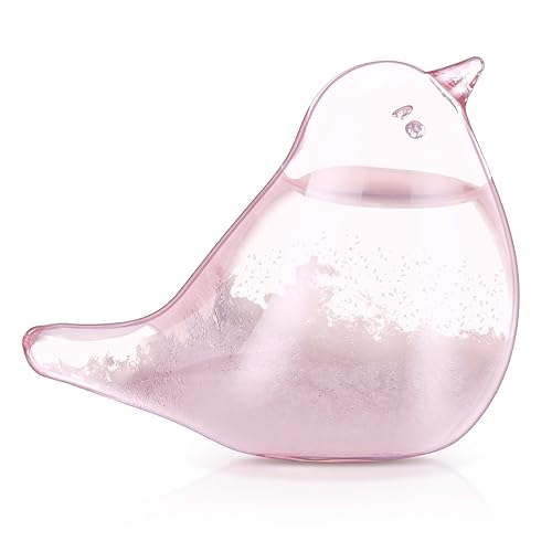 Wettervorhersage, Sturmglas, Vogelform, Sturmglas, Wettervorhersage, Flasche, Wetterstation für Zuhause, Büro, Zubehör, Valentinstagsgeschenk für Herren, Rosa