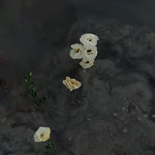 Edwin Hosoomel, Neema & Lilo Sanchez