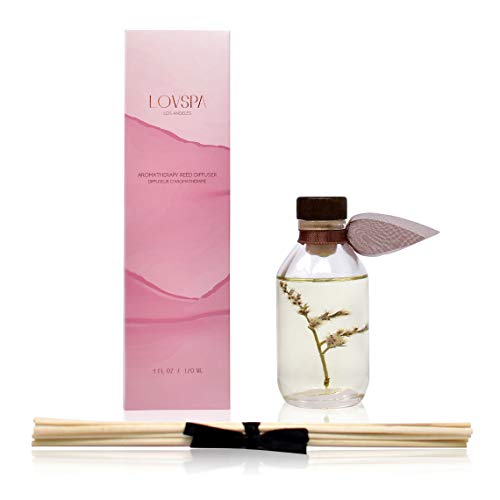 LOVSPA Cashmere Woods Reed Diffuser Oil Set with Amber Mimosa, Vanilla Musk & Apricot Nectar, Made in The USA