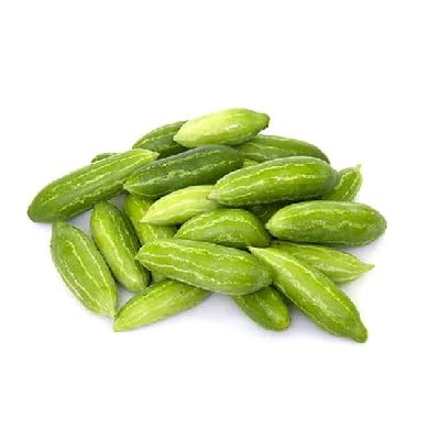 Kovakkai plant stem pack of 3 (B0CKBW2917) Amazon Price History, Amazon Price Tracker