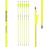 🎯 Erlebe den Bogensport mit den SPHERE Lumos Carbonpfeilen - designed für Präzision, Individualität und Qualität. Hol dir deine Lumos Pfeile noch heute und bringe deine Schießkunst auf das nächste Level!