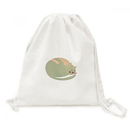 Sac à dos en toile pour animal domestique Sleepy Cat pour balades