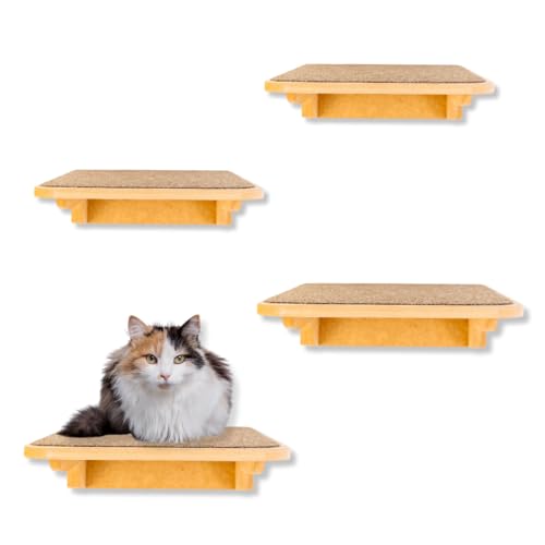 Playgorund Para Gatos 4Pçs (2Pçs M e 2Pçs G) Premium Ressitente J...