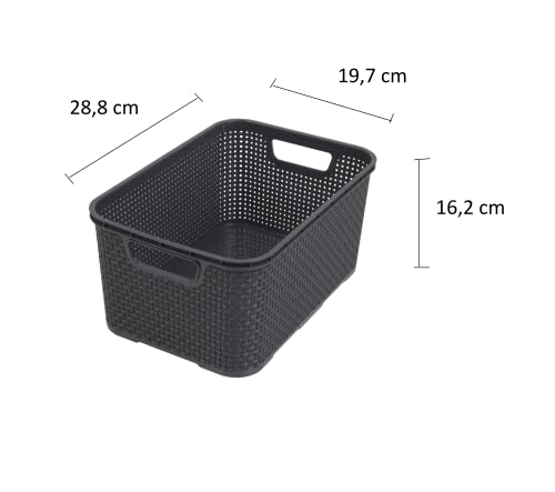BranQ - Home essential universeller, multifunktionaler Korb in Rattan Design, Grösse M 10 l, BPA-frei Kunststoff PP, Anthrazit, 28,8x19,7x16,2 cm