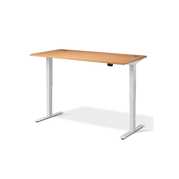 Buy FLYTTA 2 [M] Standard Height Adjustable Electric Standing Desk