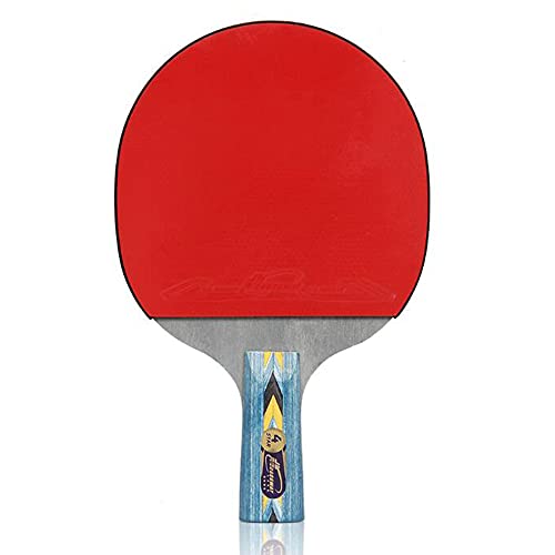 Raqueta de tenis mesa 4 estrellas con mango cómodo para aprender sin fatiga