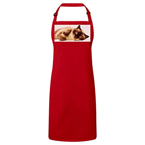 Tablier cuisine rouge chaton siamois mignon poil long