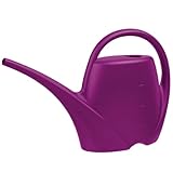 Plastkon Gießkanne klein 1,7 L - Lila, Hochwertiger Kunststoff - Ideal für Zimmerpflanzenbewässerung