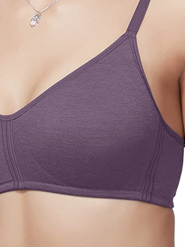 Image of Dazzle DB560 Women's Non Padded Bra