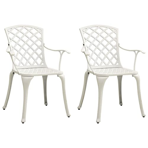 RONGQI Sillas de jardín 2 Unidades, Sillas Jardin Exterior, Sillas Terraza Exterior, Sillas Terraza, Muebles Terraza, Conjunto De Jardin Exterior, Aluminio Fundido Blanco