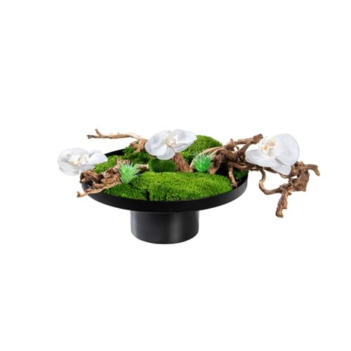 Bonsai zen décorations artificiels et arbre intérieur pour table basse