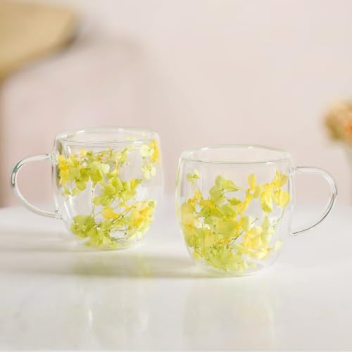 Image of Nestasia Double Wall Glass Mug with Dried Flowers Set of 2 (250ml Each) - Transparent Borosilicate Floral Glass Tea Cups | Lightweight & Durable Coffee Mugs - Perfect for Gifting (Yellow)