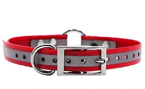 Reflective D & Center Ring Dog Collar w Custom Name Tag 3/4x15, Red