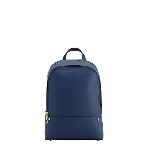 carpisa luggage amazon