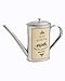 Fantes Olive Oil Can, 18/8 Stainless Steel, 500-Milliliter Capacity, The Italian Market Original Since 1906