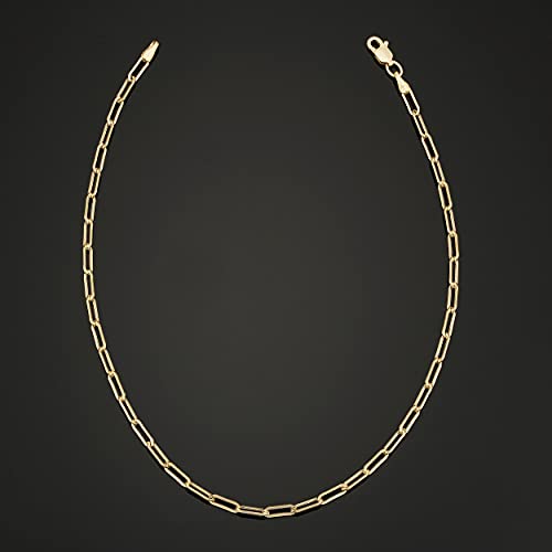 10k Yellow Gold Paperclip Link Chain Bracelet (2.5 mm, 7 inch) | Minimalist Jewelry for Women3