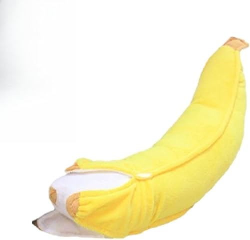 oii ӂӂʂ _炩ӂ œKȑ蕨 (70CM)