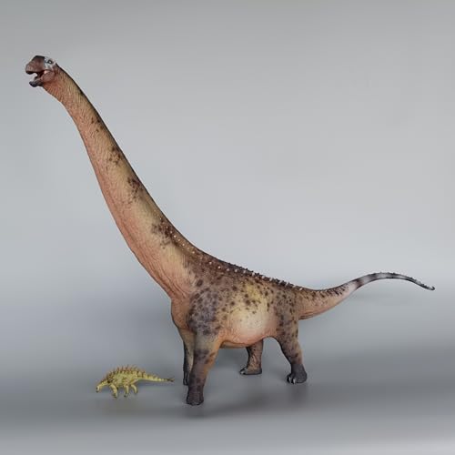 Dinosaure argentin AMITD 1:35 décoration salon et bureau Couleur B - 7