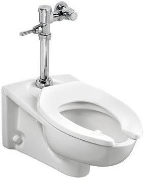 American Standard AFWALL MILLENNIUM FLOWISE EL, TS, NAFTA,
