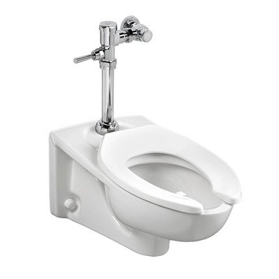 Inodoro suspendido elongado Afwall Millennium FloWise de American Standard, válvula de descarga, cromado miniatura 1