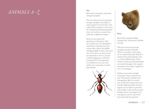 A Practical Guide to Magic in Nature - Image 15