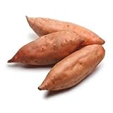 venchunio