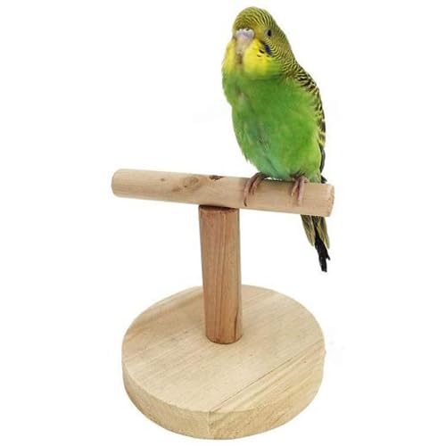 Pet-Bird-Parrot-Wooden-Stand-Perch-Playground-Platform-Cage-Chew-Playing-Toy-Lovely-Pet-Size-6-Inch