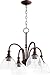 Quorum 6211-4-186 Richmond Chandelier, 4-Light, 400 Total Watts, Oiled Bronze w/Clear Seeded