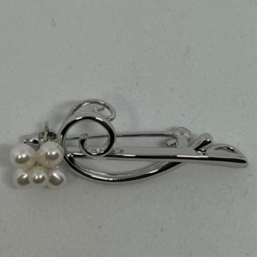 ^TL c^ u[` Vo[ p[ ANZT[ {^ S SILVER