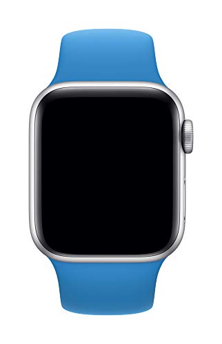 Image of Apple Watch Band - Sport Band (40mm) - Surf Blue - Regular