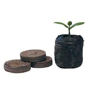 Nutley's Abbaubare Anzuchttabletten für Setzlinge, 24 Stück