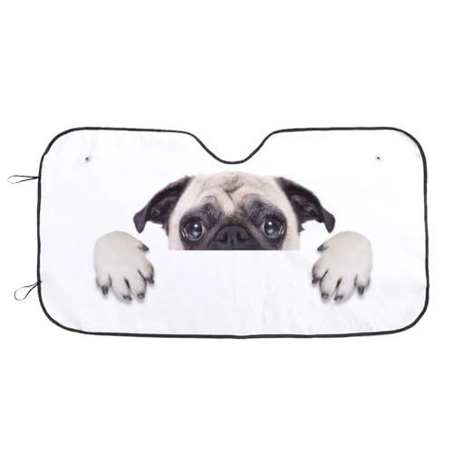 ԗpTVF[h  pO tgTVF[h  ՌfM  Ԓ ԗpi ėp tgKXp