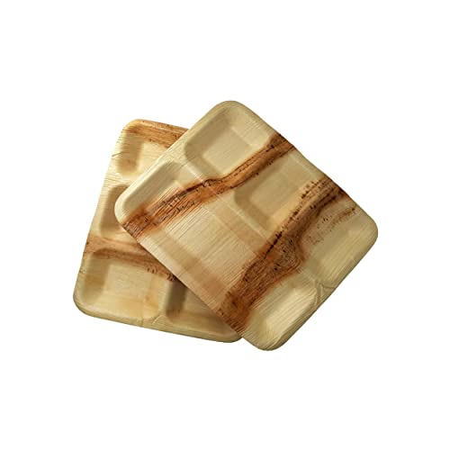 Dtocs Compostable 4 Compartment Plates (50 Pcs) Palm Leaf Plate 11X9 Inch School Lunch Tray, Portion Plates | Bamboo Plate Look 4 Section Plates Sturdy Than Heavy Duty Paper Plates, Styrofoam Plates #TOP5