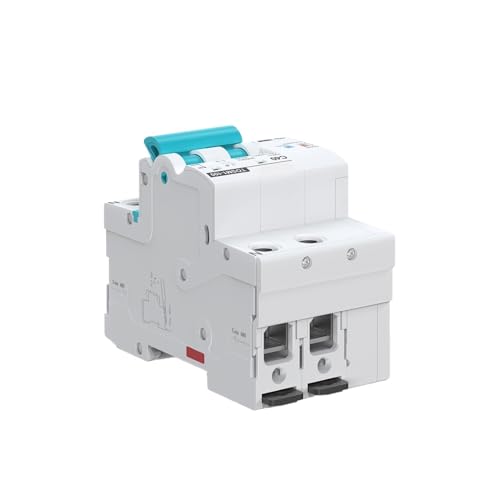 Disjoncteur WiFi 2P avec protection surtension et minuterie automatique intégrée