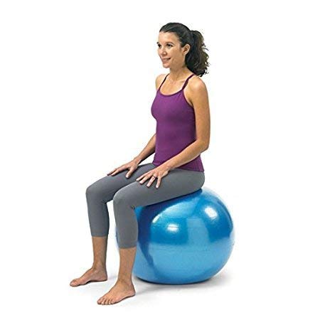 SHREVI Gym Ball for Exercise Anti Burst Exercise Ball with Foot Pump for Women and Men Swiss Ball for Balance Stability Training, Birthing Ball for Pregnancy, Fitness (B07QHDNFZ4) Amazon Price History, Amazon Price Tracker