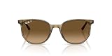 Ray-Ban (レイバン) サングラス 0RB2197F ELLIOT STRIPED GREEN POLAR BROWN GRADIENT (グリーン/ブラウン) 54mm アジアンフィット 偏光