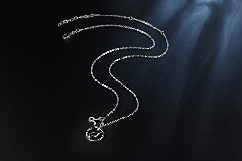 Presentski Zodiac Necklace Sterling Silver 12 Constellation Horoscope Pendant Astrology Star CZ Dainty Necklaces Birthday Jewelry for Women Daughter3