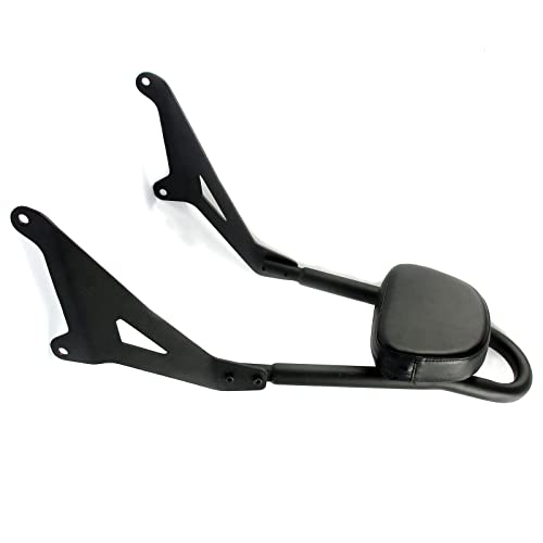 Sissy bar passager avec porte-bagages robuste pour Yamaha Stryker XVS 1300