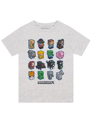 Popgear Minecraft Mini Mobs Boys T-Shirt Heather Grey, 152 garçons