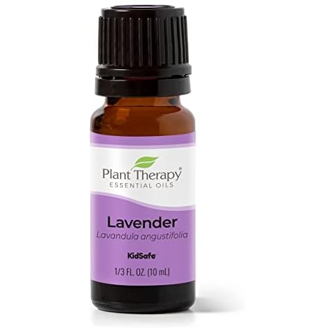 Plant Therapy Lavender Essential Oil 10 mL Cover