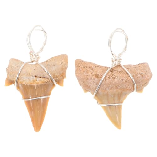 Happyyami Lot De 2 Pendentifs Dent De Requin 1.18X0.79X0.20In Collier Homme Charme Tribal Surf...