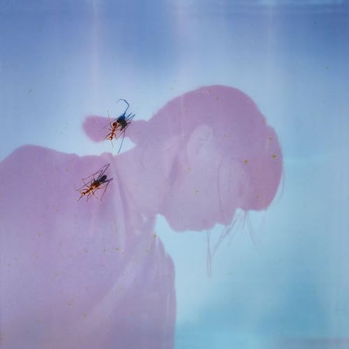 Amazon Music Unlimitedで青葉市子を聴く