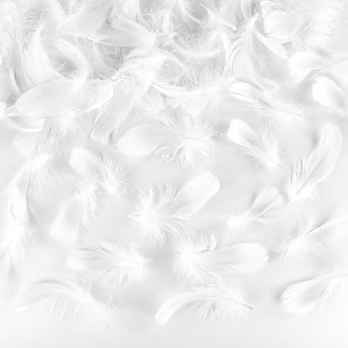 JRSHIRLEYLTD Lot de 220 plumes blanches moelleuses - Plumes décoratives blanches - Plumes naturelles - Pour boucles d'oreilles DIY, attrape-rêves, plumes de...