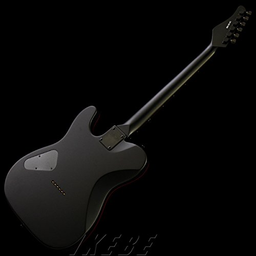 Amazon | SCHECTER シェクター エレキギター PA-SM/SH Progauge