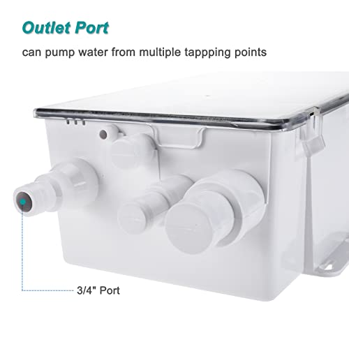 Erfo 12V 750GPH Shower Sump Pump System,MultiPort Inlet Marine Boat Shower Sump Pump Drain Kit