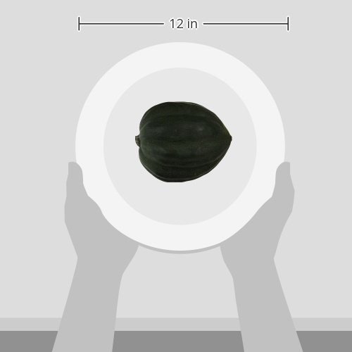 Acorn Squash