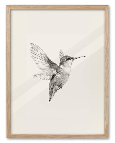 EcoHest 12x16 in Hummingbird Line Art Minimalist Framed Wall Art