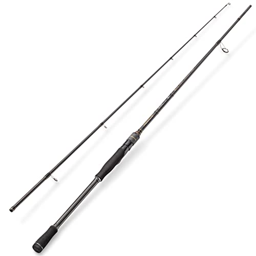 Hearty Rise Raubfischrute für Wobbler & Popper zum Spinnfischen 1,98m 10-42g Evolution II Spin Topwater Rute Cover