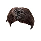 25 cm 10 pelucas hombre oblicuo pelo corto liso Europa los Estados Unidos moda fibra completa de la cabeza (BW2, talla única)